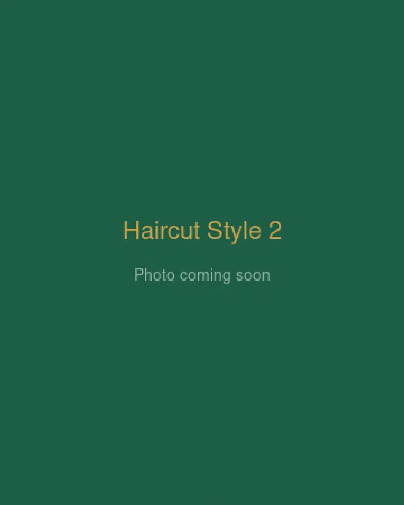 Haircut style 2